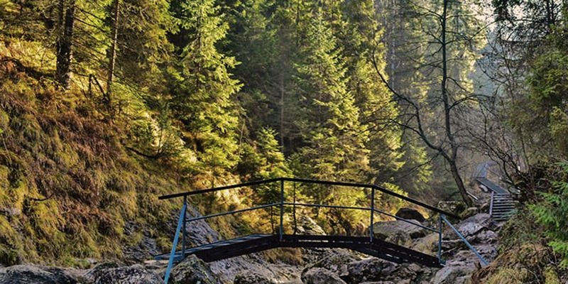 Małe Pieniny: jak zaplanować trasę przez Wąwóz Homole i Białą Wodę?